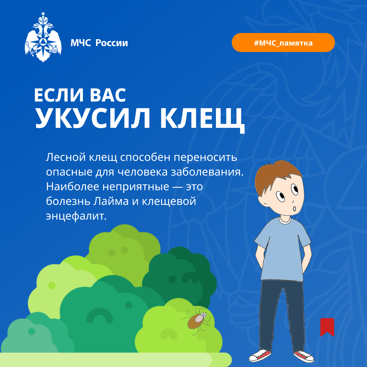 ИНФО 85.png